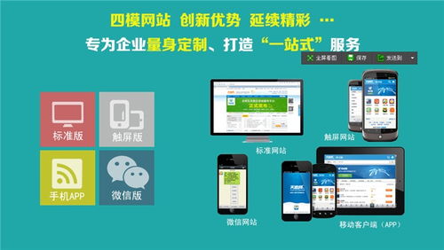 B2B發(fā)布系統(tǒng)代理 網(wǎng)絡技術開發(fā)與服務的專業(yè)指南
